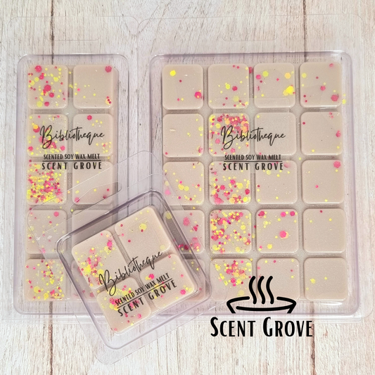 Bibliotheque scented soy wax melt