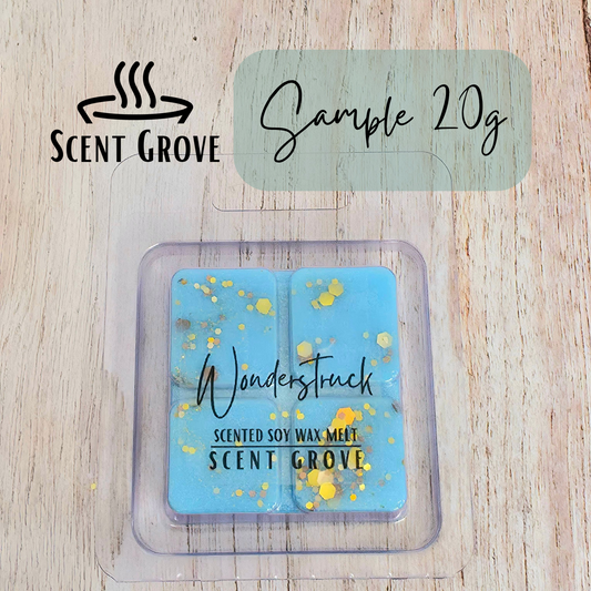 Wonderstruck Type soy wax melt