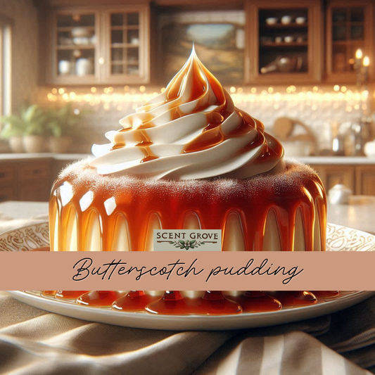 Butterscotch Pudding Scented Diffuser Liquid Refill 100ml Clear Pouch