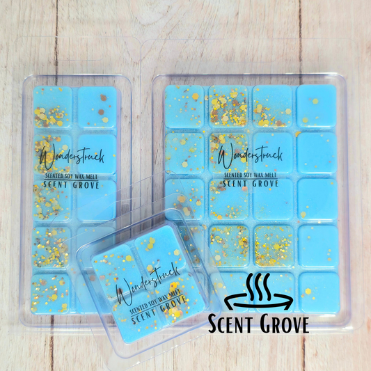 Wonderstruck Type soy wax melt