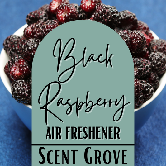 Black Raspberry Scented Air Freshener Spray multi purpose for car, home, room