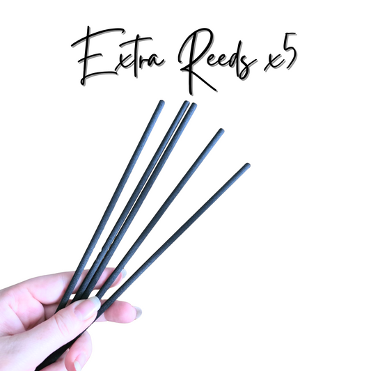 Replacement Reeds x5 Natural Fiber