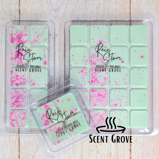 Rainstorm scented soy wax melt