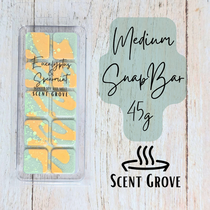 Eucalyptus & Spearmint scented soy wax melt