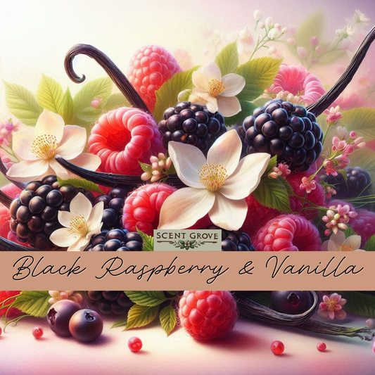 Black Raspberry & Vanilla Scented Diffuser Refill Liquid