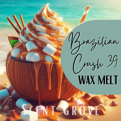 Brazilian Crush 39 Type soy wax melt