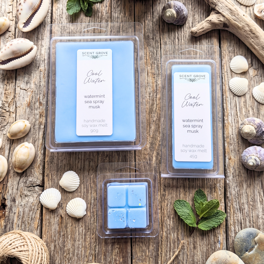 Cool Water inspired soy wax melt