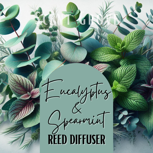 Eucalyptus & Spearmint Scented Reed Diffuser 200ml