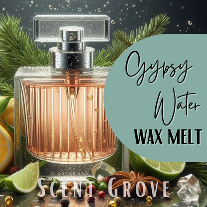Gypsy Water type soy wax melt